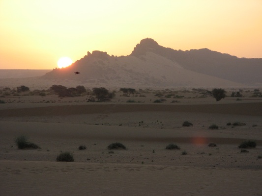 Carnet de voyage en Mauritanie